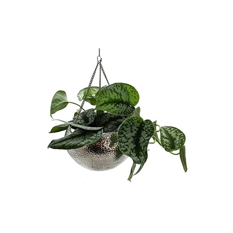 DARO DEKO Metal Hanging Basket Silver with Hammered Structure Diameter