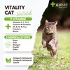 4-BEINER Vitality CAT Comparison Winner, 11 Vitamins for Cats Plus