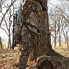 Muddy Hunting Tree Stand Safety Systems Lightweight Padded Nylon Quick-Release