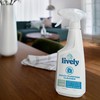 Lively Multi-Purpose Cleaner Bundle (2 Pack), Fragrance-Free, Biodegradable Formula