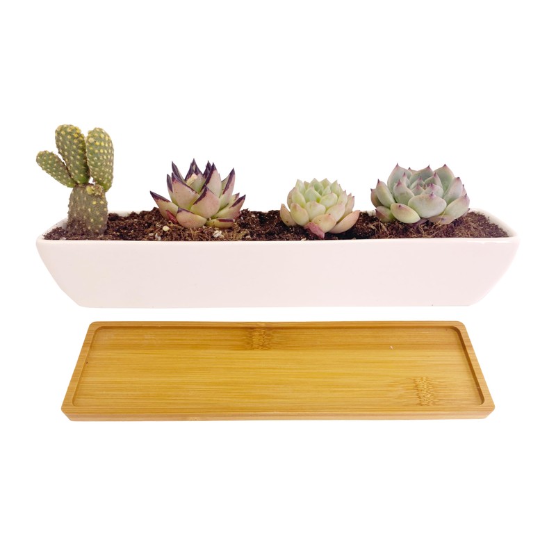 SWONVI 11.1 inch Long Rectangle White Ceramic Succulent Planter Pots/Mini
