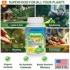 Citrus Tree Specific Organic Liquid Kelp Fertilizer by Gardenera -