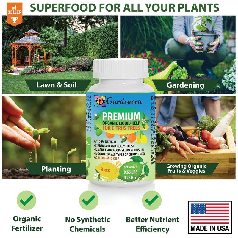 Citrus Tree Specific Organic Liquid Kelp Fertilizer by Gardenera -
