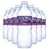 Fruit2o Grape Flavored Water, 16.9 fl oz Plastic Bottles (12