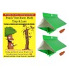 Peach Tree Borer & Clearwing Moth Trap (2 Pack, 8