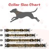 Kazazoo Dog Collar Cute and Soft Nylon Puppy Collar for