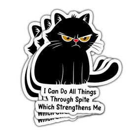 3 Pcs I Can Do All Things Through Spite Which Strengthens Me Sticker, Black Cat Sticker, Feminist Funny Saying Sarcastic Stickers - Vinyl Stickers For Water Bottles Laptop Car Hart Hat Helmet 3 Inches