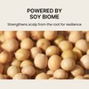 nesh [nesh]Soy Biome Scalp Balancing Shampoo 480ml