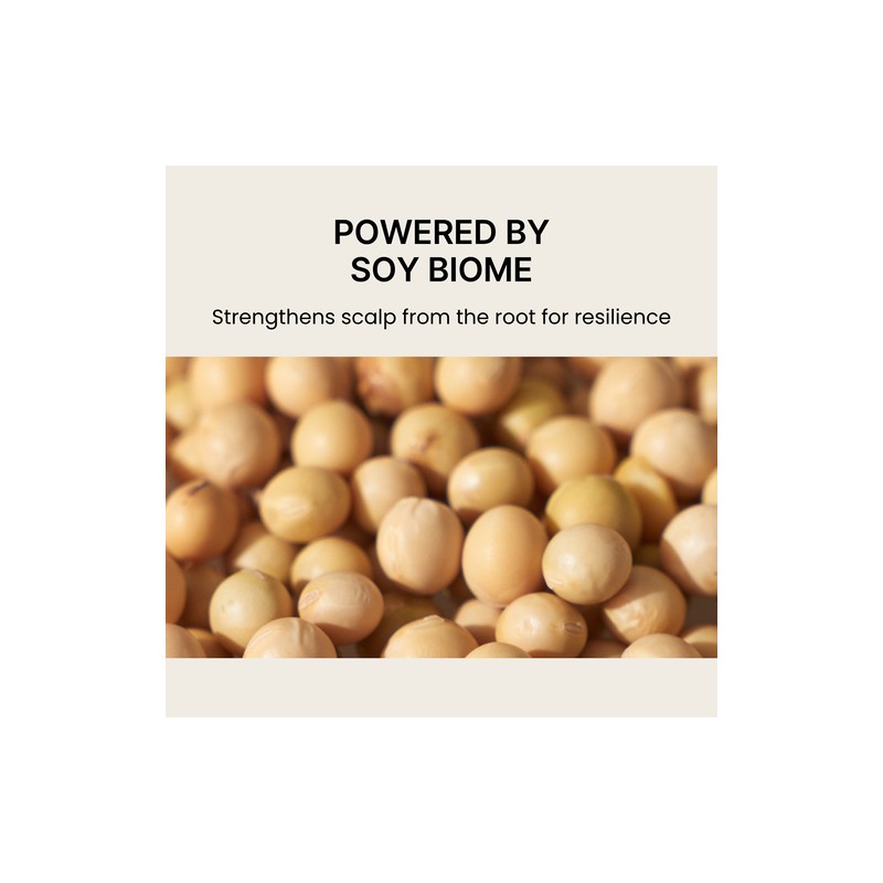 nesh [nesh]Soy Biome Scalp Balancing Shampoo 480ml