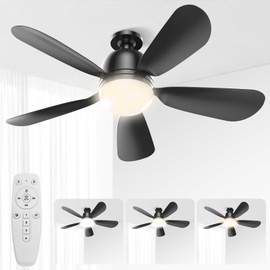 LC-dolida 24'' Socket Fan Lights with Remote Control, 3-Color Dimmable LED, 4 Speeds, E26/E27 Bulb Compatible, 2000 Lumens, Ceiling Fans with Lights for Bedroom, Dining Room, Home, Black
