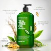 Majestic Pure Tea Tree Oil Hair Shampoo - 16flOz