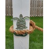 CTW Home Collection Cast Iron Sea Turtle Double Hook Cast