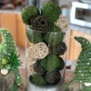 YGbridge Large Decorative Moss Balls, 8 Pcs 3.5" Green Dried
