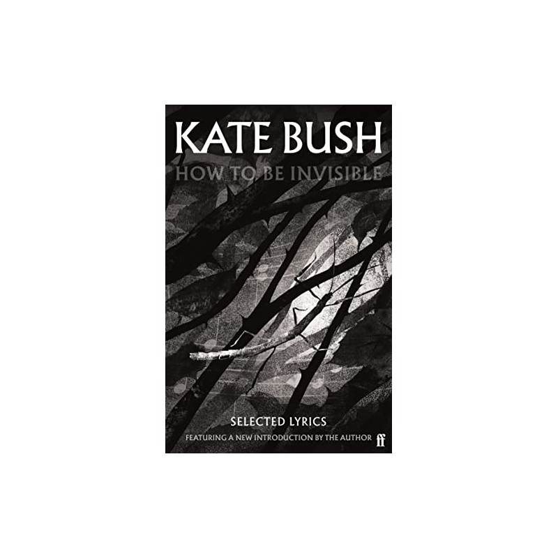 How to be Invisible: Selected Lyrics