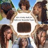 Originea Afro Kinky Curly Human Hair Bulk for Dreadlocks and