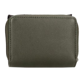 Pepe Jeans Christine Toiletry Bag with Three Compartments, Green, 17.5 x 9.5 x 2 cm, Polyester with Faux Leather Details by Joumma Bags, Green, Talla única, Toiletry Bag with Three Compartments,