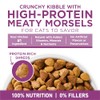 Purina ONE Plus Whole Body Support with Chicken Dry Cat