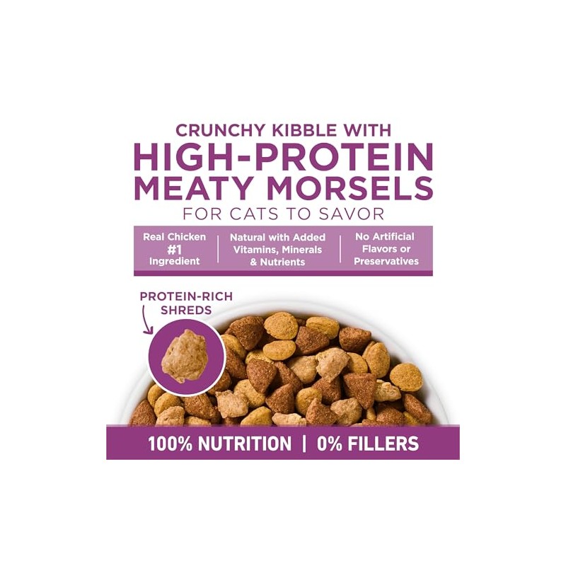 Purina ONE Plus Whole Body Support with Chicken Dry Cat