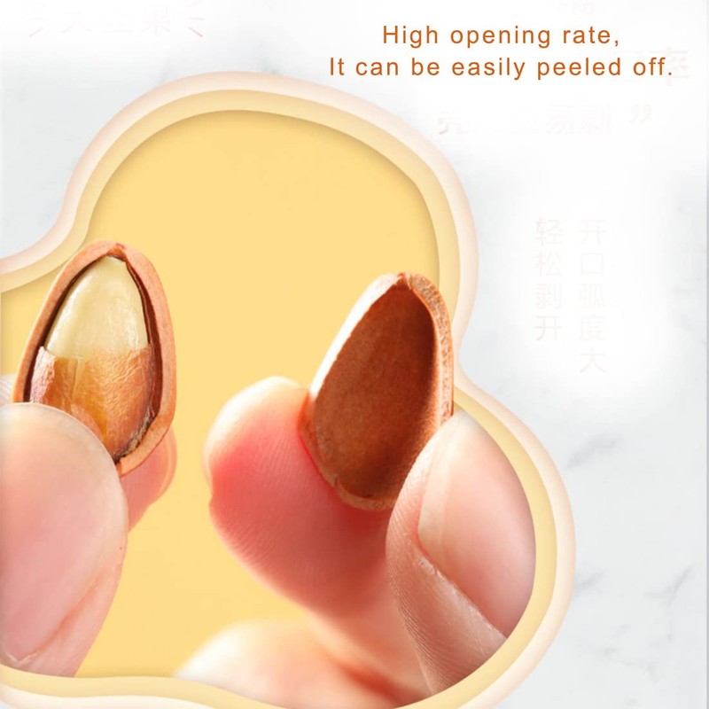 Pine Nuts dry Fruit with Shell 8.81oz ，Original pine nut