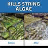 CrystalClear AlgaeOff Pond & Water Garden Scum Cleaner, Waterfall &