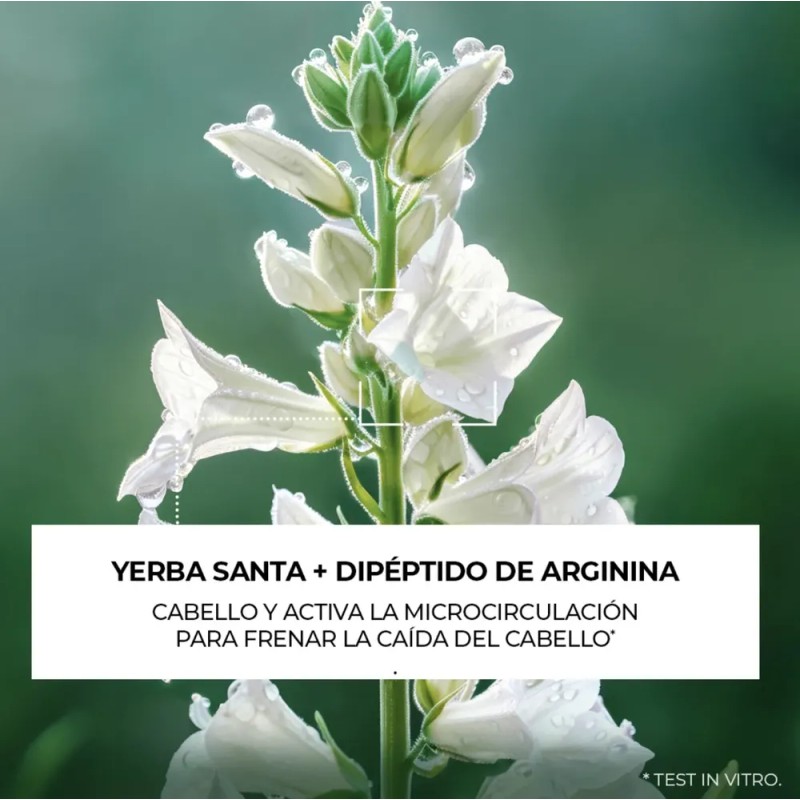 Yves Rocher - Set Tratamiento Capilar Anticaida 5pzs