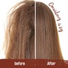 Tropic Isle Living Hair Gro Batana Growth Oil Collection (4