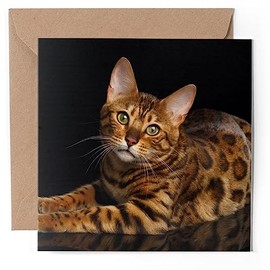 1 x Greeting Card - Spotted Bengal Cat Kitten Cute - Blank Birthday Celebration Anniversary #52115