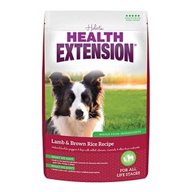 Health Extension Lamb & Brown Rice Recipe, 1-Pound
