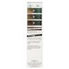 L'Oreal Colorista Wash Out 10 Turquoise