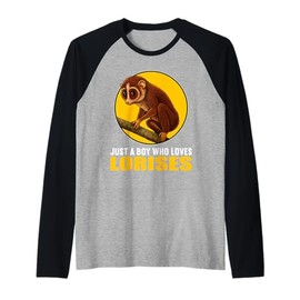 Mens Just a Boy who Loves Lorises Loris Raglan Baseball Tee