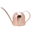 1000ml Stainless Steel Watering Can Sprinkle Pot Long Mouth Garden