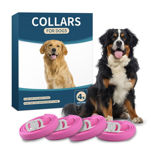 4 Pack Adjustable Dog Collars, Durable Waterproof Collar for Small,