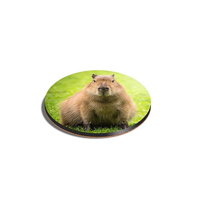 1 x Round Coaster - Funny Moody Capybara Animal Cork