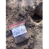 TEXAS DIRT - Top / Ground Soil - For Texans