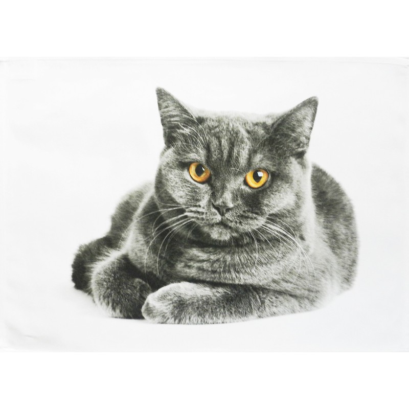 Half a Donkey The Grey Cat Large Cotton Tea Towel