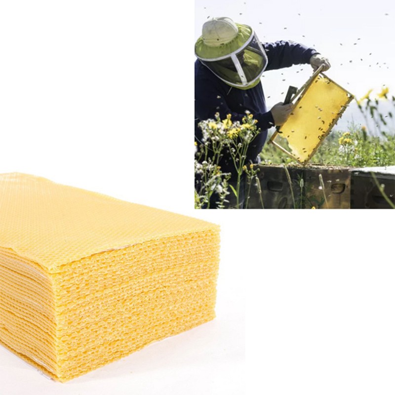 10Pcs Beeswax Sheets for Candle Making Natural Beeswax Honeycomb Foundation