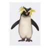 'Rockhopper Penguin' Temporary Tattoo - Water Resistant, Skin-Safe, Non-Toxic Transfer