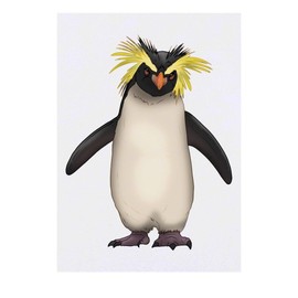 'Rockhopper Penguin' Temporary Tattoo - Water Resistant, Skin-Safe, Non-Toxic Transfer (TO00085103)