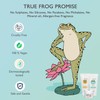 True Frog Shampoo For Curls (150 ml), Everyday Hair Conditioner