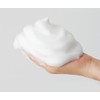 살림백서 흑곡 지성 두피케어 약산성 탈모증상완화 샴푸, 1L, 1개 Sallim
