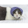 DDFS Cat Hematoma Ear Wrap,Noise Cancelling Headphones Anxiety & Stress