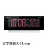 SEIKO CLOCK Alarm Clock Radio Controlled Digital AC Color LCD