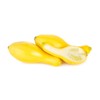Summer Squash, Crookneck Squash Seeds