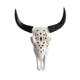 Near and Deer CBI00 Faux Decorative Carved Cow (Bison) Skull Wall Mount, Natural Realistic