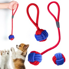 TZQFROCE 3 Stück Hundespielzeug Seil Hunde Kauspielzeug Seil Kauen Hundespielzeug Set Hundekauspielzeug für Welpen, Kleine, Mittelgroße Hunde