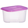 Tupperware Freezer Mate Container, 650ml, 1-Piece (Colors may Vary)