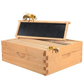 10 Frame Bee Frames Bee Hive Beehive Frames Unassembled Brood Box with Frames Bee Hives Boxes Starter Kit Beeswax Coated Foundation Sheet Beehive Frames for Honey Bee Hives Beekeeping Supplies
