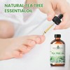EVOKE OCCU 100% Pure Tea Tree Oil, for Skin, Face,