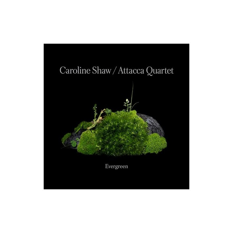 Caroline Shaw: Evergreen