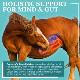 EQUERRY'S Angel Maker, Raspberry Leaf, Microencapsulated Probiotics Supplement for Horse Ulcer Treatment & Digestive Health Calmness & Focus 8 oz